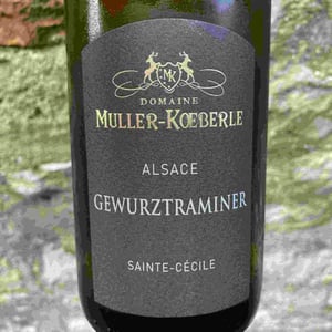 Sainte-Cécile - Domaine Muller-Koeberle - David Koeberle 