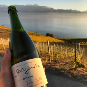 Sainte Geneviève Extra Brut - Clos des Vignes du Maynes - julien-guillot