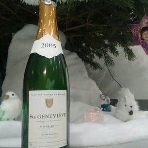 Sainte Geneviève