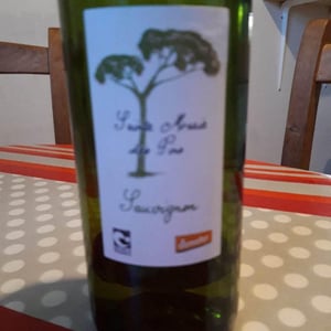Sainte Marie Les Pins Sauvignon - Sainte Marie Les Pins - marie-et-henri-gayzard
