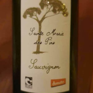 Sainte Marie Les Pins Sauvignon - Sainte Marie Les Pins - marie-et-henri-gayzard