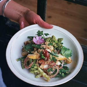 Salade Estivale - Lombric - 528416
