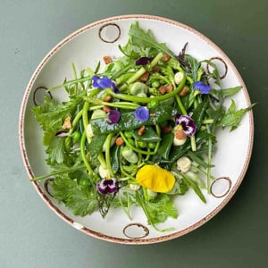 Salade Printanière - Crapule - 772327