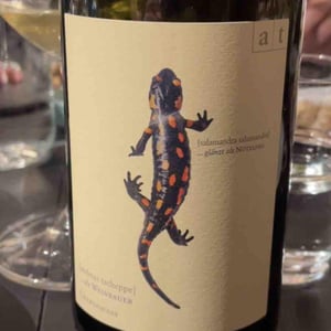 Salamander - Morillon - Weingut Andreas & Elisabeth Tscheppe - andreas-elisabeth-tscheppe