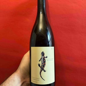 Salamander - Morillon - Weingut Andreas & Elisabeth Tscheppe - Andreas & Elisabeth Tscheppe 