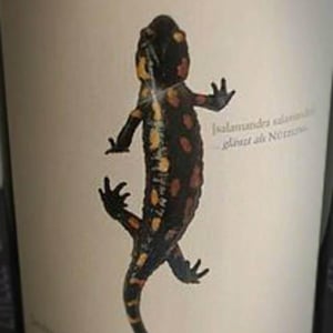 Salamander - Morillon - Weingut Andreas & Elisabeth Tscheppe - Andreas & Elisabeth Tscheppe 