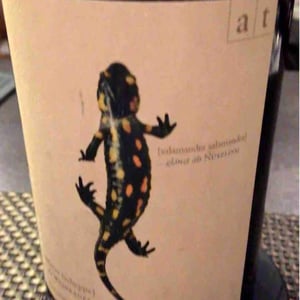 Weingut Andreas & Elisabeth Tscheppe - Andreas & Elisabeth Tscheppe - Salamander - Morillon