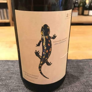 Salamander - Morillon - Weingut Andreas & Elisabeth Tscheppe - Andreas & Elisabeth Tscheppe 
