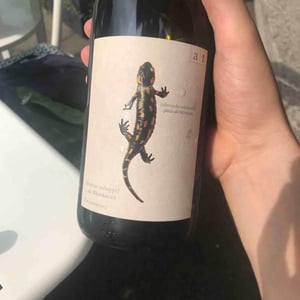 Weingut Andreas & Elisabeth Tscheppe - Andreas & Elisabeth Tscheppe - Salamander - Morillon