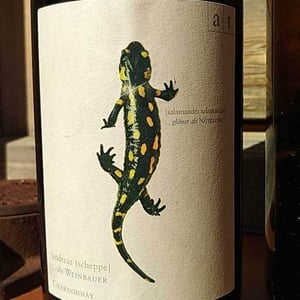 Weingut Andreas & Elisabeth Tscheppe - Andreas & Elisabeth Tscheppe - Salamander - Morillon