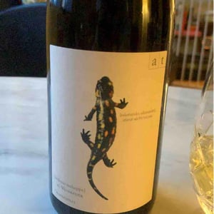 Salamander - Morillon - Weingut Andreas & Elisabeth Tscheppe - andreas-elisabeth-tscheppe