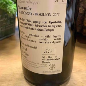 Salamander - Morillon - Weingut Andreas & Elisabeth Tscheppe - Andreas & Elisabeth Tscheppe 