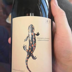 Weingut Andreas & Elisabeth Tscheppe - Andreas & Elisabeth Tscheppe - Salamander - Morillon