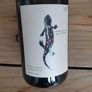 Weingut Andreas & Elisabeth Tscheppe - Andreas & Elisabeth Tscheppe - Salamander - Morillon
