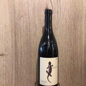 Salamander - Morillon - Weingut Andreas & Elisabeth Tscheppe - andreas-elisabeth-tscheppe