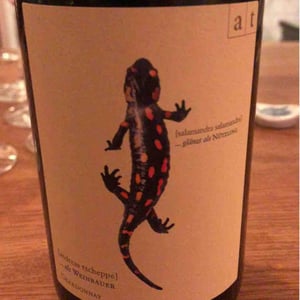 Salamander - Morillon - Weingut Andreas & Elisabeth Tscheppe - andreas-elisabeth-tscheppe