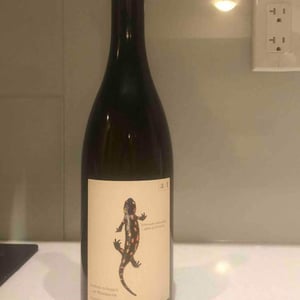 Salamander - Morillon - Weingut Andreas & Elisabeth Tscheppe - andreas-elisabeth-tscheppe