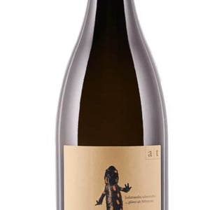 Salamander - Morillon - Weingut Andreas & Elisabeth Tscheppe - andreas-elisabeth-tscheppe