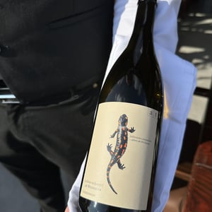 Salamander - Morillon - Weingut Andreas & Elisabeth Tscheppe - andreas-elisabeth-tscheppe
