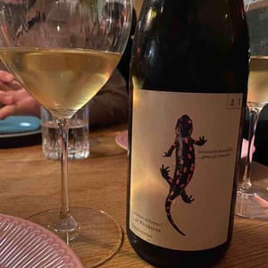 Weingut Andreas & Elisabeth Tscheppe - Andreas & Elisabeth Tscheppe - Salamander - Morillon