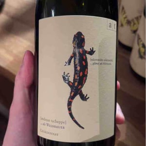Weingut Andreas & Elisabeth Tscheppe - Andreas & Elisabeth Tscheppe - Salamander - Morillon