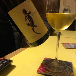 Weingut Andreas & Elisabeth Tscheppe - Andreas & Elisabeth Tscheppe - Salamander - Morillon