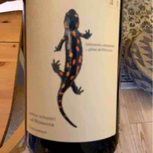 Weingut Andreas & Elisabeth Tscheppe - Andreas & Elisabeth Tscheppe - Salamander - Morillon