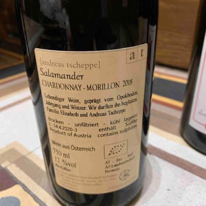 Salamander - Morillon - Weingut Andreas & Elisabeth Tscheppe - andreas-elisabeth-tscheppe