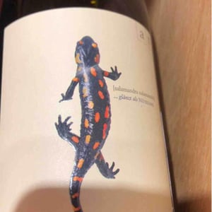 Salamander