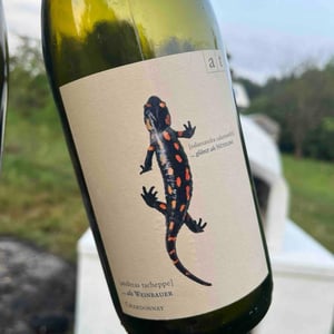 Salamander Plus - Weingut Andreas & Elisabeth Tscheppe - Andreas & Elisabeth Tscheppe
