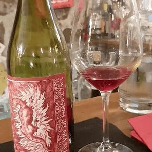 Salamandre - Domaine Saurigny - Jérôme Saurigny 
