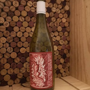Salamandre - Domaine Saurigny - jerome-saurigny