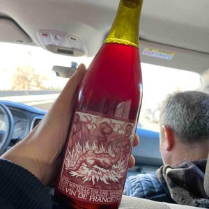 Salamandre - Domaine Saurigny - Jérôme Saurigny 