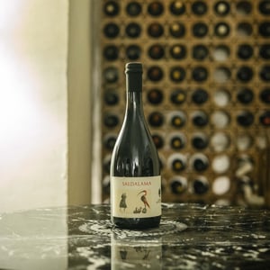 Saldalama - Podere Sottoilnoce - max-brondolo -2021