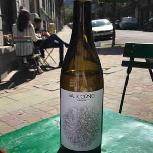 Salicornio Malvasia - Finca Casa Balaguer - marta-ribera-andres-carull