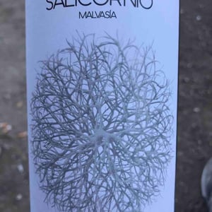 Salicornio Malvasia - Finca Casa Balaguer - Marta Ribera & Andres Carull 