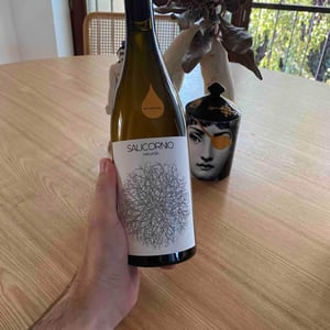 Salicornio Malvasia - Finca Casa Balaguer - Marta Ribera & Andres Carull 