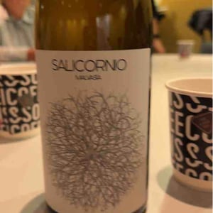 Salicornio Malvasia - Finca Casa Balaguer - Marta Ribera & Andres Carull 