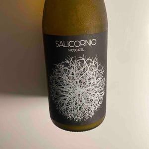 Salicornio Moscatel - Finca Casa Balaguer - marta-ribera-andres-carull