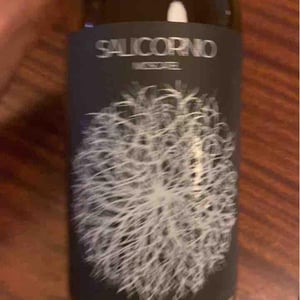 Salicornio Moscatel - Finca Casa Balaguer - marta-ribera-andres-carull