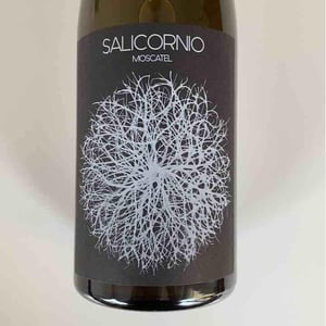 Finca Casa Balaguer - Marta Ribera & Andres Carull - Salicornio Moscatel