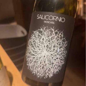 Salicornio Moscatel - Finca Casa Balaguer - Marta Ribera & Andres Carull 