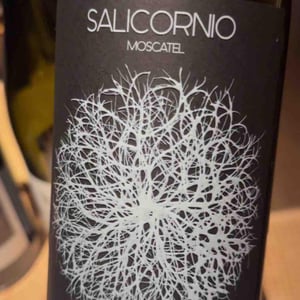 Salicornio Moscatel - Finca Casa Balaguer - Marta Ribera & Andres Carull 