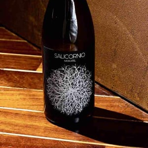 Salicornio Moscatel - Finca Casa Balaguer - Marta Ribera & Andres Carull 
