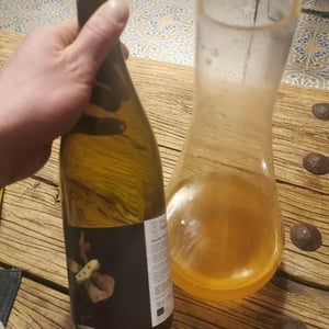 Salinar - Vinyes Singulars - ignasi-segui