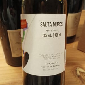 Salta Muros - Salta Muros - Catarina e o David -2019