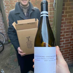 Saltamartí (Tempranillo) - Els Vinyerons / Sin Project - Amós Bañeres Merinero & Alex Ruiz Masachs -2020