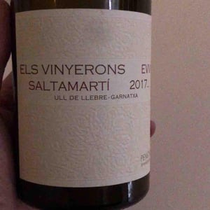 Saltamartí (Ull de Llebre, Garnatxa) - Els Vinyerons / Sin Project - Amós Bañeres Merinero & Alex Ruiz Masachs 