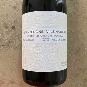 Saltamartí (Ull de Llebre, Garnatxa) - Els Vinyerons / Sin Project - Amós Bañeres Merinero & Alex Ruiz Masachs 