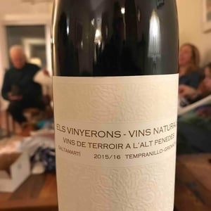 Saltamartí (Ull de Llebre, Garnatxa) - Els Vinyerons / Sin Project - amos-baneres-merinero-alex-ruiz-masachs